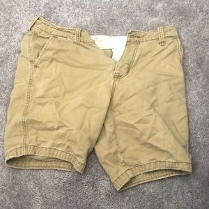 Hollister Khaki Shorts size 32